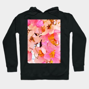 Blooming Cherry Blossom Hoodie